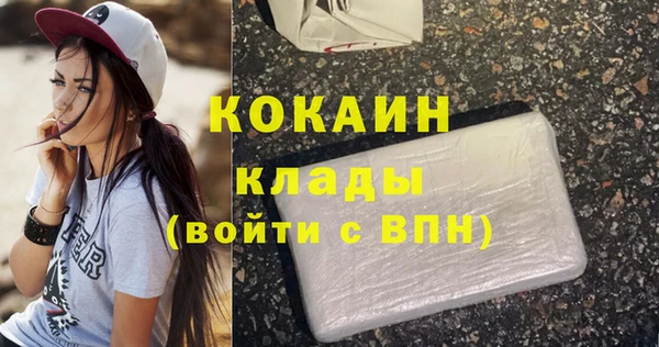 гашик Богородск
