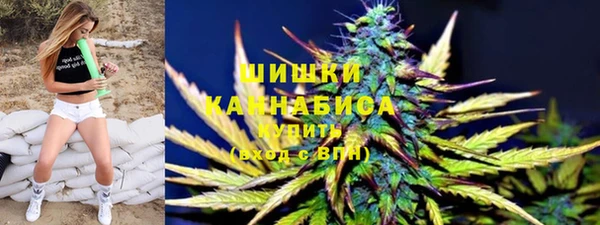 гашик Богородск