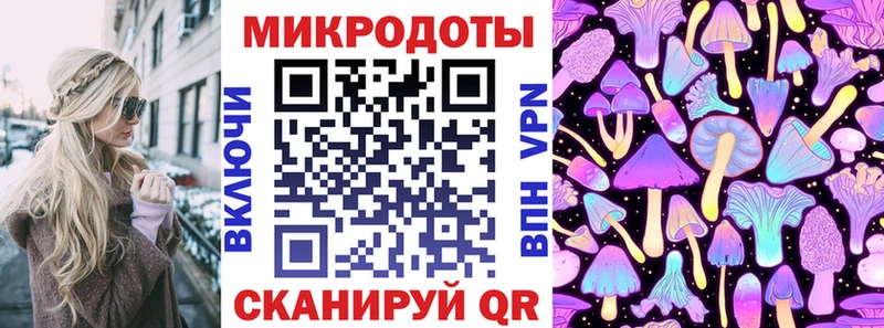 Купить  Сковородино  Псилоцибиновые грибы GOLDEN TEACHER 